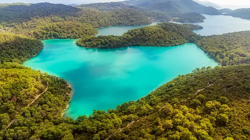 mljet