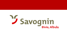 Savognin